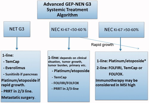 Figure 4. Treatment algorithm for the systemic treatment of neuroendocrine tumours with Ki-67 > 20%. *Colo-rectal carcinoma primaries have low RR/PFS/OS, other schedules could be considered. GEP-NEN: Gastroenteropancreatic neuroendocrine neoplasias; G: grade; MSI: microsatellite instability; NET: neuroendocrine tumour; NEC: neuroendocrine carcinoma; PRRT: peptide receptor radionuclide treatment; TemCap: temozolomid + capecitabine.
