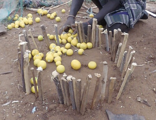 Figure 2. Child playing the garánti game, caught in the action of “herding” the livestock back into the toy kraal. Source: Photograph by the author, Dambaiti area, 2022.