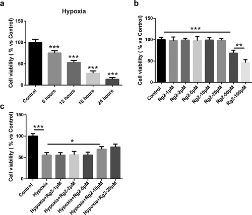 Figure 1. Rg2 decreases hypoxia-induced cardiac fibroblast death. (a) As hypoxia prolonged, cell viability decreased more seriously (n = 6). (b) Cardiac fibroblast was treated with Rg2 with different concentrations, and Rg2 over 10 μM induced cell death (n = 6). (c) Rg2 at 10 μM decreased hypoxia-induced cell death (n = 6). *P < 0.05; **P < 0.01; ***P < 0.001 versus respective control.