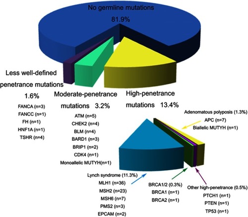 Figure 2 The identified pathogenic and likely pathogenic germline mutations. There was one patient with both MSH2 and EPCAM mutations and one patient with both MLH1 and BLM mutations.