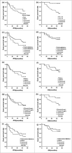 Figure 2. The survival curves for breast cancer patients treated by NCT. (a) PFS curves arranged by clinical stage (P = 0.021); (b) OS curves arranged by clinical T stage (P = 0.001); (c) PFS curves arranged by tumor-infiltrating CD33+MDSCs (P = 0.225); (d) OS curves arranged by tumor-infiltrating CD33+MDSCs (P = 0.121); (e) PFS curves arranged by IDO expression (P = 0.378); (f) OS curves arranged by IDO expression (P = 0.508); (g) PFS curves arranged by tumor-infiltrating Foxp3+Tregs (P = 0.979); (h) OS curves arranged by tumor-infiltrating Foxp3+Tregs (P = 0.022); (i) PFS curves arranged by IDO expression in CD33+MDSCs (P = 0.354); (j) OS curves arranged by IDO expression in CD33+MDSCs (P = 0.523).