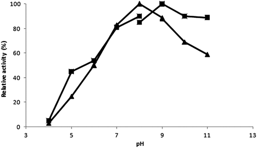 Figure 2. Effect of pH on free (▲) and immobilized trypsin (■) activity.