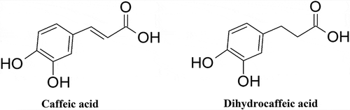 Figure 1. Chemical structures of caffeic and dihydrocaffeic acids.Figura 1. Las estructuras químicas de los ácidos cafeico y dihidrocafeico