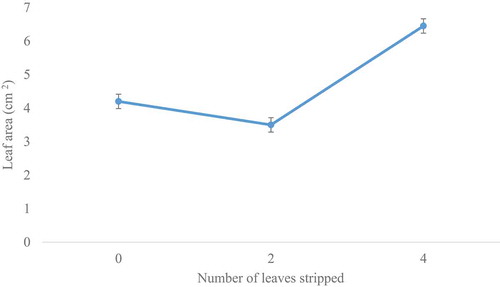 Figure 4. Effect of leaf-stripping intensity on leaf area of A. hybridus.