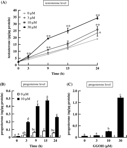 Figure 2. Testosterone and progesterone levels after GGOH treatment in I-10 cells. Cells were treated with of GGOH for 0–24 h, and testosterone (A) and progesterone (B, C) levels in cultured medium were measured. Data are presented as mean ± SD (n = 3). *p < 0.05, **p < 0.01 vs. 0 μM. Different letters indicate significant differences (p < 0.05). Data for panels A–C were taken from reference [Citation32].