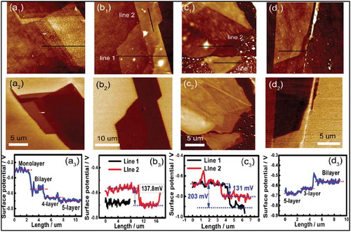 Figure 4. (a1-d1) AFM topographic images of MoS2 flakes and (a2-d2) KPFM surface potential maps corresponding to the areas sown in a1-d1. (a3-d3) show the corresponding surface profiles. Adapted with permission from ref 53. Copyright © 2013 American Chemical Society.