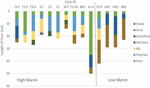 Figure A1. Soil horizons of each core sampled in summer 2017 and summer 2018 in relationship to length of core (cm) (n = 14). Dark gray represents wood, brown represents sand, dark blue represents sand and peat mix, dark green represents silt and sand mix, yellow represents silt, light blue represents peat and silt mix, and green represents the top peat layer. Core W-A was not a core, but a pit with soil samples taken every 5 cm. All cores are shown with compressed depths