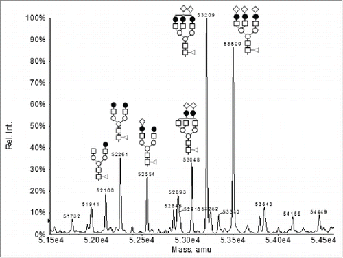 Figure 6. Deconvoluted mass spectrum under the peak II in Figure 5 in the LC-MS analysis of the intact F4 sample.