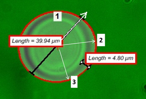 Figure 1. Sample image acquisition and analysis using the ROI tool to establish the radial fluorescent intensity profiles for the characterization of the outward diffusion of the FITC-Dextran 70 kDa marker from the microcapsules. Shown in numbered white boxes are sample radii under observation for fluorescent intensity monitoring.