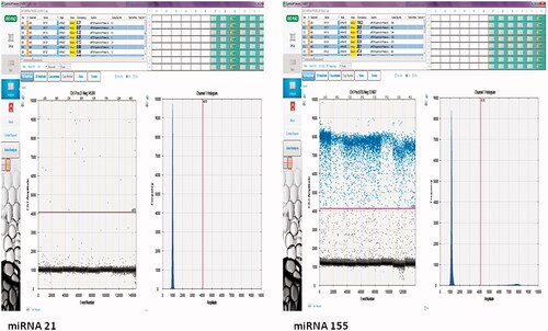 Figure 1. Droplet and copy numbers for miRNA 21 and miRNA 155. miRNA quantitation was performed under optimized ddPCR conditions using the Taqman assay. The results were presented as copy numbers per microliter. Samples with at least 10,000 droplets were included in the study. miRNA quantitation was calculated by separating negative (black) and positive (blue) droplets using a Poisson 95% confidence interval.