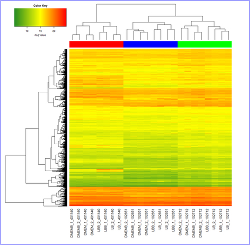 Figure 2. Heatmap showing hierarchical clustering of 3740 common genes (y-axis) in strains across all mediums. The x-axis labels take the format medium_sample_strain. The four medium types are DMEMB, DMEM, LBB, and LB, and the three E.Coli strains are 401140, 102651, and 102712. The colors in the heatmap represent rlog expression values with green having the lowest value and red the highest.