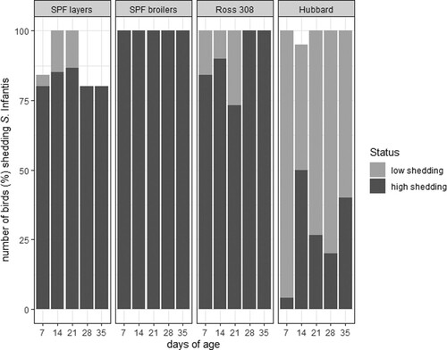 Figure 1. Shedding of S. Infantis in four different chicken breeds (directly infected and in-contact birds). Shedding profile of Hubbard birds was significantly different (P < 0.05) from the three other breeds.