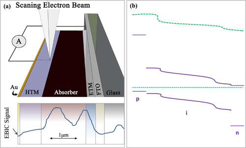 Figure 5. (a) Schematic of an EBIC experiment. A scanned electron beam generates a cloud of carriers, creating a position-dependent current in a short-circuiting load. Reprinted with permission from [Citation67]. Copyright 2014 American Chemical Society. (b) A schematic band diagram of CH3NH3PbI3−xClx perovskite-based cells under light in a p–i–n device structure. The diagram is not to scale and shows only the relative positions of the energy bands. The green dashed lines show the relative quasi-Fermi level.