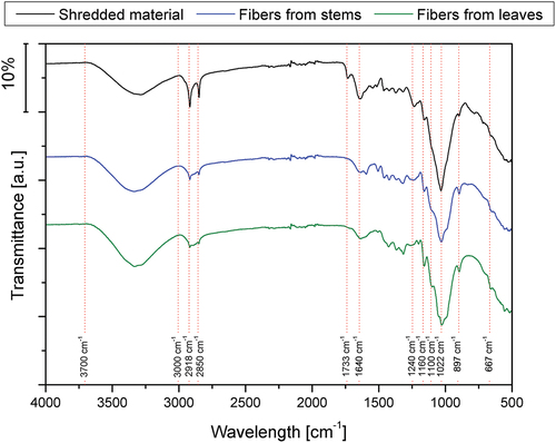 Figure 2. FTIR spectrum for different samples.