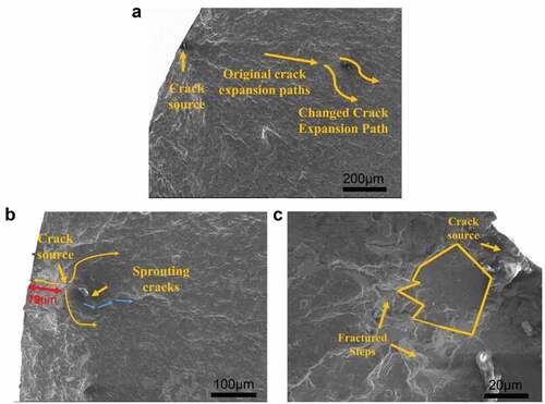 Figure 8. Fatigue fracture morphology of 718Plus superalloy: (a) surface crack initiation caused by inclusions, T = 600°C, S = 750 MPa, N = 2.796 × 106, (b) initiation of subsurface crack initiation, T = 700°C, S = 800 MPa, N = 3.41 × 104, (c) Crack initiation of surface defect initiation, T = 600°C, S = 700 MPa, N = 1.857 × 106.