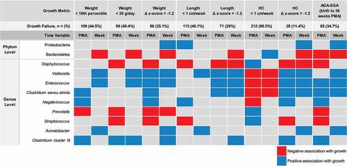 Figure 4. Phylum and genus level associations with postnatal growth based on 16 clinically relevant growth indices. in an exploratory secondary analysis of previously published microbiota sequencing from 245 longitudinally-sampled preterm infant stools, we sought to determine how changing the definition of neonatal growth might change the significantly associated microbes. We tested associations between relative abundance change over time and the binary outcome “appropriate growth” versus “growth failure” using eight clinically relevant definitions and analyzed each longitudinally according to PMA quartiles or postnatal week of life. Significant positive (blue) or negative (red) associations between taxa and postnatal growth are illustrated. N = (%) shows that the number of samples from infants classified as having growth failure changes dramatically with each of these 16 definitions. AGA-SGA: change in status from appropriate for gestational age at birth to small for gestational age (weight < 10th percentile) at 36 weeks PMA; HC: head circumference; PMA: post-menstrual age; Week: postnatal week of life.