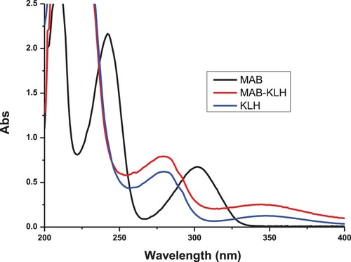 Figure 3. The UV spectra characterization for MAB, MAB-KLH, and KLH.