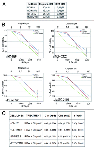 Figure 7. Synergistic effect of RITA–cisplatin combination. (A) The table reports the IC50 values at 72 h of RITA and cisplatin on mesothelioma cell lines, as determined through MTS analysis of cell viability. The results represent the means of 3 independent experiments, each conducted in triplicate. (B) Dose-response curves for RITA alone, cisplatin alone, and RITA–cisplatin combination in NCI-H28, NCI-H2452, IST-MES 2, and MSTO-211H. The results represent the means of 3 independent experiments, each conducted in triplicate. (C) The table reports the mean Combination Index (CI) values of the drug combination at 50% and 75% of cell killing (CI50 and CI75) following 72 h of treatment, calculated by the CalcuSyn software for each of the 3 independent experiment. CI values below 1 indicate strong synergism.