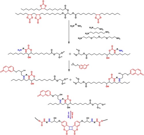 Scheme 2. Synthetic route for coumarin terminated NIPU prepolymers and photo-reversible dimerization of prepolymers.