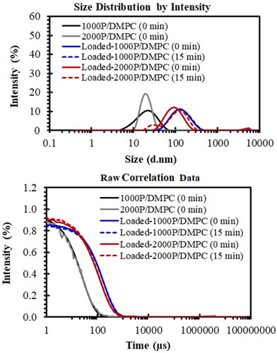 Figure 10. Size distribution plots (top) and correlation plots (bottom) of the loaded-particles of 1000 P/DMPC (solid blue) and 2000 P/DMPC (solid red) in comparison to their corresponding unloaded particles. The changes in the distribution profiles for the loaded-1000P/DMPC (dashed blue) and loaded-2000P/DMPC (dashed red) after a short-term storage (15 min) were also demonstrated (dashed lines).