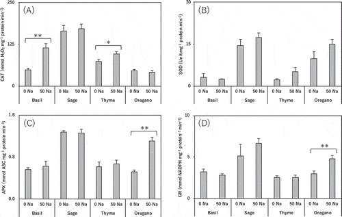 Figure 6. Effect of salt treatment on leaf antioxidative enzyme activities in basil, sage, thyme, and oregano.(a) CAT activity, (b) superoxide dismutase activity (SOD), (c) APX activity, (d) GR activity. * and ** indicate significant differences between control and salinity treatment in the same species (t-test; p < 0.05 and p < 0.01). 0 Na; standard nutrient solution (Control), 50 Na; standard nutrient solution containing 50 mM NaCl (Salinity treatment). Error bars in the figure indicate standard errors of four replications.