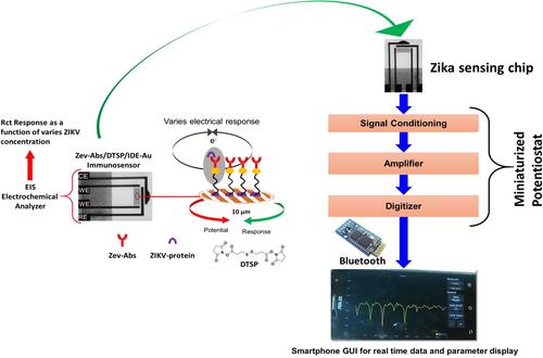 Figure 4 Illustration of an interdigitated electrodes based immunosensor for the detection of ZIKA protein at (pM), to perform POC diagnostics, this sensing chip is projected to be operated by a miniaturized analyzer and data analysis using internet of medical things.Note: Reproduced with the permission from Kaushik A, Yndart A, Kumar S, Jayant RD, Vashist A, Brown AN, Li CZ, Nair M. A sensitive electrochemical immunosensor for label-free detection of Zika-virus protein. Scientific reports. 2018 8: 97000. Copyright (2018) Scientific Reports under Creative Commons Attribution 4.0 International License.Citation143