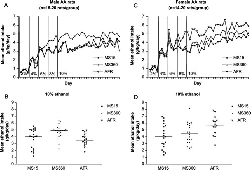 Figure 2 Maternal separation and long-term effects on voluntary ethanol intake in ethanol-preferring AA (Alko, Alcohol) rats. A and C. Mean daily voluntary ethanol intake (g/kg/day) during continuous access to the different ethanol concentrations used in adult male (A) and female (C) (AA) rats subjected to maternal separation for 15 min (MS15), or 360 min (MS360), or normal animal facility rearing (AFR) during postnatal days (PND) 1–21. B and D. Mean ethanol intake (g/kg/day) during the period of 10% ethanol availability in each individual male (B) and female (D) AA rat. The horizontal lines indicate group medians. The figure is based on data in Roman et al. (Citation2005).