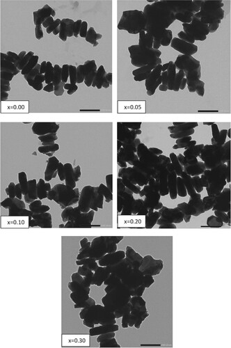 Figure 4. TEM images of BaFe12-xHgxO19 nanoparticles.