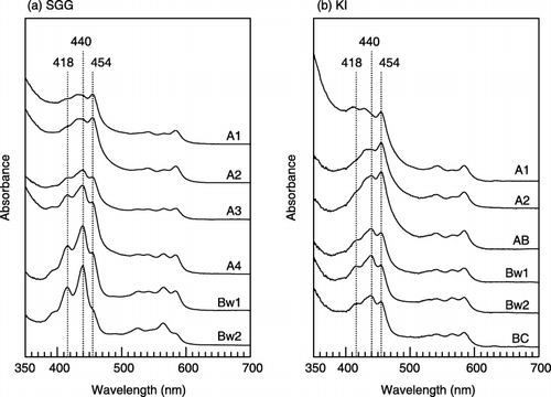 Figure 1  Visible spectra of chloroform-extractable fraction in chloroform from (a) Andosol (Sugadaira-G [SGG]) and (b) Cambisol (Kuroiwa [KI]) profiles.