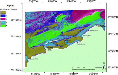 Figure 8. ArcGIS clustermap resulting from PCA and unsupervised classification of broad BPI, slope angle, aspect, rugosity, bathymetry and backscatter.