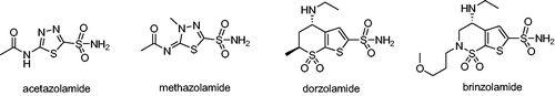 Figure 1. Examples of clinically used carbonic anhydrase inhibitors.