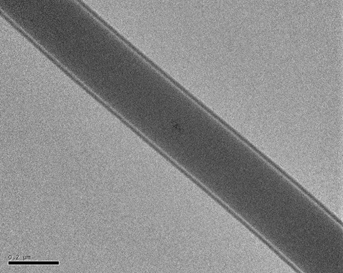Figure 3 Transmission electron microscopy image of sheath-core nanofibers.