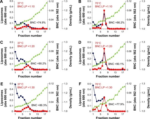 Figure 1 CsCl isopycnic ultracentrifugation analyses of BNC–LP complexes.Notes: The mixtures of BNCs (as particle) and LPs (as lipids) at weight ratios of 1:10 (at a molar ratio of 1:8.0×104; A, B), 1:20 (at a molar ratio of 1:1.6×105; C, D), and 1:30 (at a molar ratio of 1:2.4×105; E, F) were incubated at 37°C and pH 3.0 (A, C, E) or 70°C and pH 3.0 (B, D, F) for 1 hour, and then analyzed using CsCl isopycnic ultracentrifugation (24,000 rpm, 25°C, 16 hours). Protein concentrations (red) were determined with a BCA protein assay kit. Lipid concentrations (blue) were estimated from cholesterol concentration, which was determined using a Cholesterol E-Test Wako kit. Density (green) was measured using an electronic balance. The yield (%) of BNCs in each BNC–LP complex preparation is indicated in the graphs.Abbreviations: BNC, bionanocapsule; LP, liposome; abs, absorbance; BCA, bicinchoninic acid.