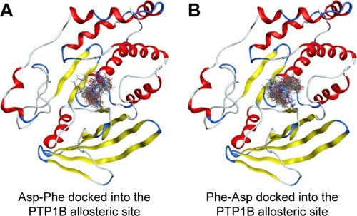 Figure 4 Top 30 binding conformations of peptides with PTP1B allosteric site.