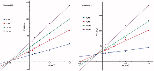 Figure 2. Lineweaver–Burk plots of inhibition kinetics of the compounds 20 and 21.