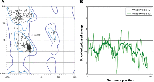 Figure S3 Validation of P. aeruginosa GyrB homology model (A) Ramachandran plot and (B) ProSA (protein structure analysis) energy plot.
