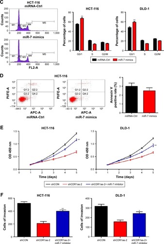 Figure 4 CDR1as promotes cell growth and invasion through partially blocking miR-7.