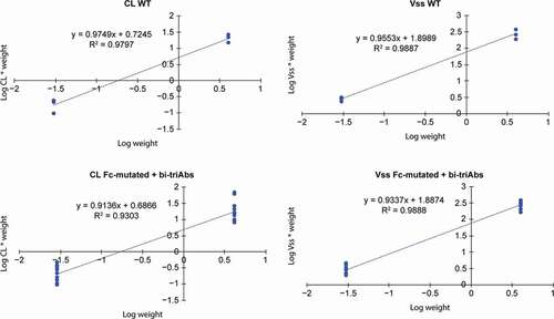 Figure 5. Estimation of α and β allometric exponents for CL and Vss, respectively, to scale from Tg32 mice to cynomolgus monkeys (NHP) using the equation YNHP = YTg32 * (body weightNHP/body weightTg32)α, β, γ. Abbreviations: bi-Ab = bispecific antibody, CL = clearance, NHP = non-human primate, tri-Ab = trispecific antibody, Vss = volume of distribution at steady state, WT = wild type, Y = variable of interest