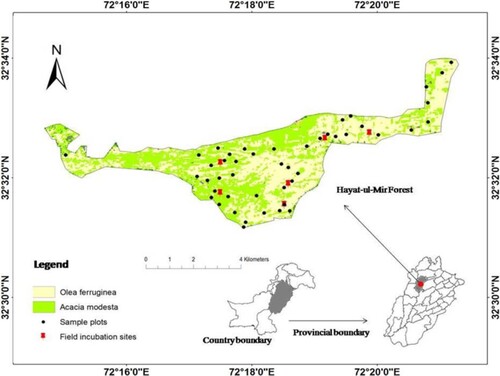 Figure 2. Spatial distribution of sample plots and field incubation sites in the HM forest.