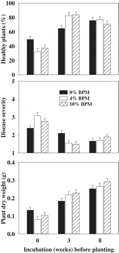 Fig. 2 Effect of buckwheat plant material (BPM) amendment and incubation time prior to planting radish seed in a non-infested or Rhizoctonia solani-infested field soil on disease-free healthy plants, damping-off severity and dry weight of radish plants. Means are the average of two experiments and three replicates per experiment and error bars are standard error of mean. Plants were grown for 2 weeks before assessing for damping-off incidence and severity.