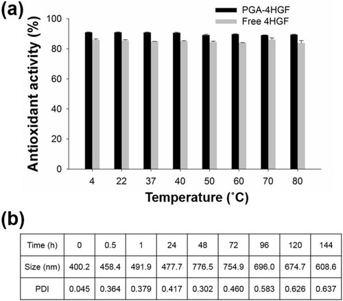 Figure 5 (A) Thermal stability by DPPH radical scavenging activity assay. (B) Average size and PDI values of PGA-4HGF during incubation in PBS (pH 7.4).