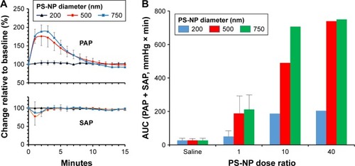 Figure 8 Effect of NP size on PAP and SAP.Notes: (A) Changes in pulmonary (upper panel) and SAP (lower panel) following injection of the minimally reactive doses of PS-NPs in pigs as percentage changes relative to baseline; means ± SD (n=3). The key for line colors (top on Panel A) is the same for PAP and SAP. (B) Relationship between pulmonary vascular effects of PS-NPs and particle diameter (color-coded) and NP number (dose ratio). Bars represent means ± SD (n=3). Dose ratio means 10 and 40-fold of the minimally effective dose of differently sized NP-PS (Figure 7A–C).Abbreviations: AUC, area under the curve; NP, nanoparticle; PAP, pulmonary arterial pressure; PS-NPs, polystyrene nanoparticles; SAP, systemic arterial pressure.
