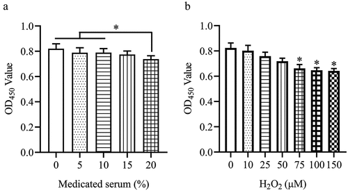 Figure 2. 10% medicated serum and 75 μM H2O2 were utilized for subsequent assays. H9c2 cells were treated with 0, 5%, 10%, 15%, and 20% medicated serum or 0, 10, 25, 50, 75, 100, and 150 μM H2O2, and then the cell viability was detected by CCK-8 assay. (A) The cell viability of H9c2 cells was determined by CCK-8 after being treated with different concentrations of medicated serum. (B) The cell viability of H9c2 cells was examined by CCK-8 after being treated with different concentrations of H2O2. The means ± SD of four independent samples are shown. *p < .05.