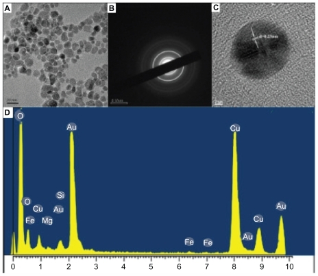 Figure 2 (A) Representative transmission electron microscopy (TEM) image of as-prepared gold nanoparticles; (B) selected areas electron diffraction pattern corresponding to A; (C) high-resolution TEM image; (D) energy dispersive X-ray spectroscopy measurement profiles.