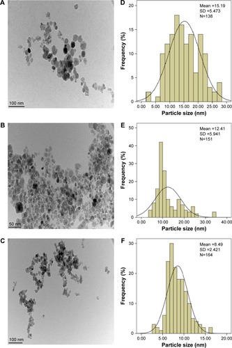 Figure 6 TEM micrographs of iron oxide magnetic nanoparticles (A), chitosan-iron oxide magnetic nanoparticles (B), and PTA-CS-MNP nanocomposite (C). Particle size distribution of iron oxide magnetic nanoparticles (D), chitosan-iron oxide magnetic nanoparticles (E), and PTA-CS-MNP nanocomposite (F).Abbreviations: PTA-CS-MNP, phytic acid-chitosan-iron oxide nanocomposite; TEM, transmission electron microscopy.