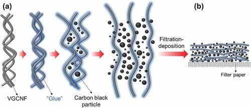 Figure 5. Schematic diagram illustrating the disentanglement process of VGCNFs (a) and the deposition of VGCNFs and carbon black particles on filter paper (b)