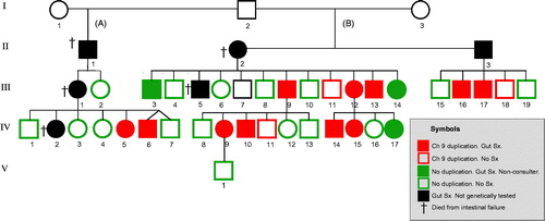 Figure 1. Pedigree showing the kindred with autosomal familial intestinal degenerative neuropathy (FIDN) with indications of clinical and genetic features. Filled symbols indicate chronic gut symptoms. Genetically tested subjects have coloured symbols: Red = Ch9 duplication; Green = no Ch9 duplication.