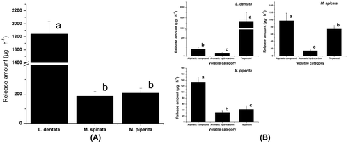 Fig. 4. The release amounts of aromatic volatiles of L. dentata, M. spicata, and M. piperita.