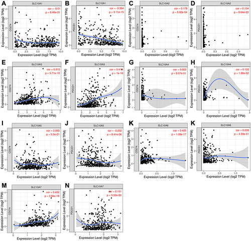 Figure 8 Correlation analyses of SLC10 family genes and immune checkpoints (PD1 and PD-L1) measured by TIMER algorithm in liver cancer. (A) Correlation between CD274 and SLC10A1. (B) Correlation between PDCD1 and SLC10A1. (C) Correlation between CD274 and SLC10A2. (D) Correlation between PDCD1 and SLC10A2. (E) Correlation between CD274 and SLC10A3. (F) Correlation between PDCD1 and SLC10A3. (G) Correlation between CD274 and SLC10A4. (H) Correlation between PDCD1 and SLC10A4. (I) Correlation between CD274 and SLC10A5. (J) Correlation between PDCD1 and SLC10A5. (K) Correlation between CD274 and SLC10A6. (L) Correlation between PDCD1 and SLC10A6. (M) Correlation between CD274 and SLC10A7. (N) Correlation between PDCD1 and SLC10A7.