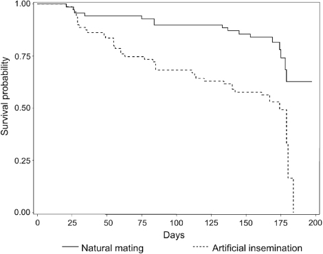 Figure 2. Cumulative survival probability between entering in lay (day 0) and 6 months of lay for breeder duck flocks in artificial insemination (n=81 flocks) and in natural mating (n=70), France, 2008 and 2009. The cumulative survival probability is the cumulative probability of staying seronegative over time.